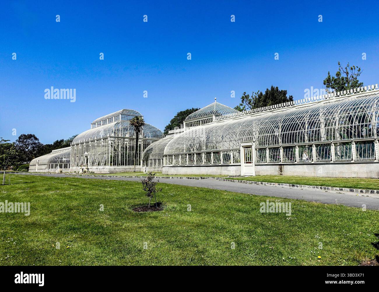 Eines der Gewächshäuser in den National Botanic Gardens, Dublin, Irland. Kurvenförmiges Guss- und Schmiedeeisen-Gerüst, errichtet zwischen 1843 und 1848. Stockfoto