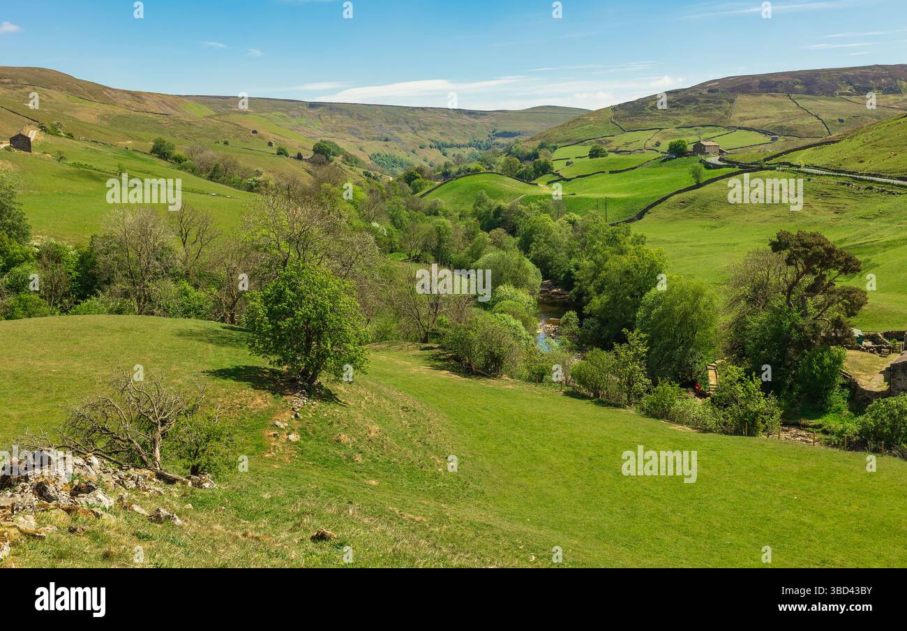 Keld in Swaledale im Spätfrühling mit hohen Fjälls, grünen Weiden, Trockenmauern und dem Fluss Swale, der unter den Bäumen verläuft. North Yorkshire Stockfoto