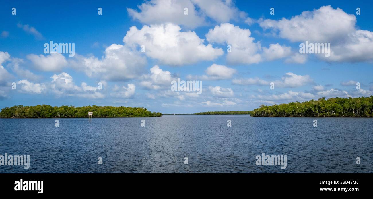 Chokoloskee Bay auf den Ten Thousand Islands im Südwesten Floridas USA Stockfoto