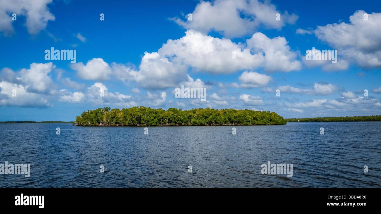 Chokoloskee Bay auf den Ten Thousand Islands im Südwesten Floridas USA Stockfoto