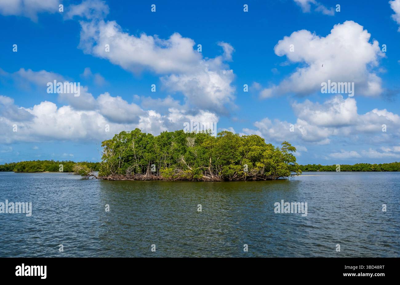 Chokoloskee Bay auf den Ten Thousand Islands im Südwesten Floridas USA Stockfoto