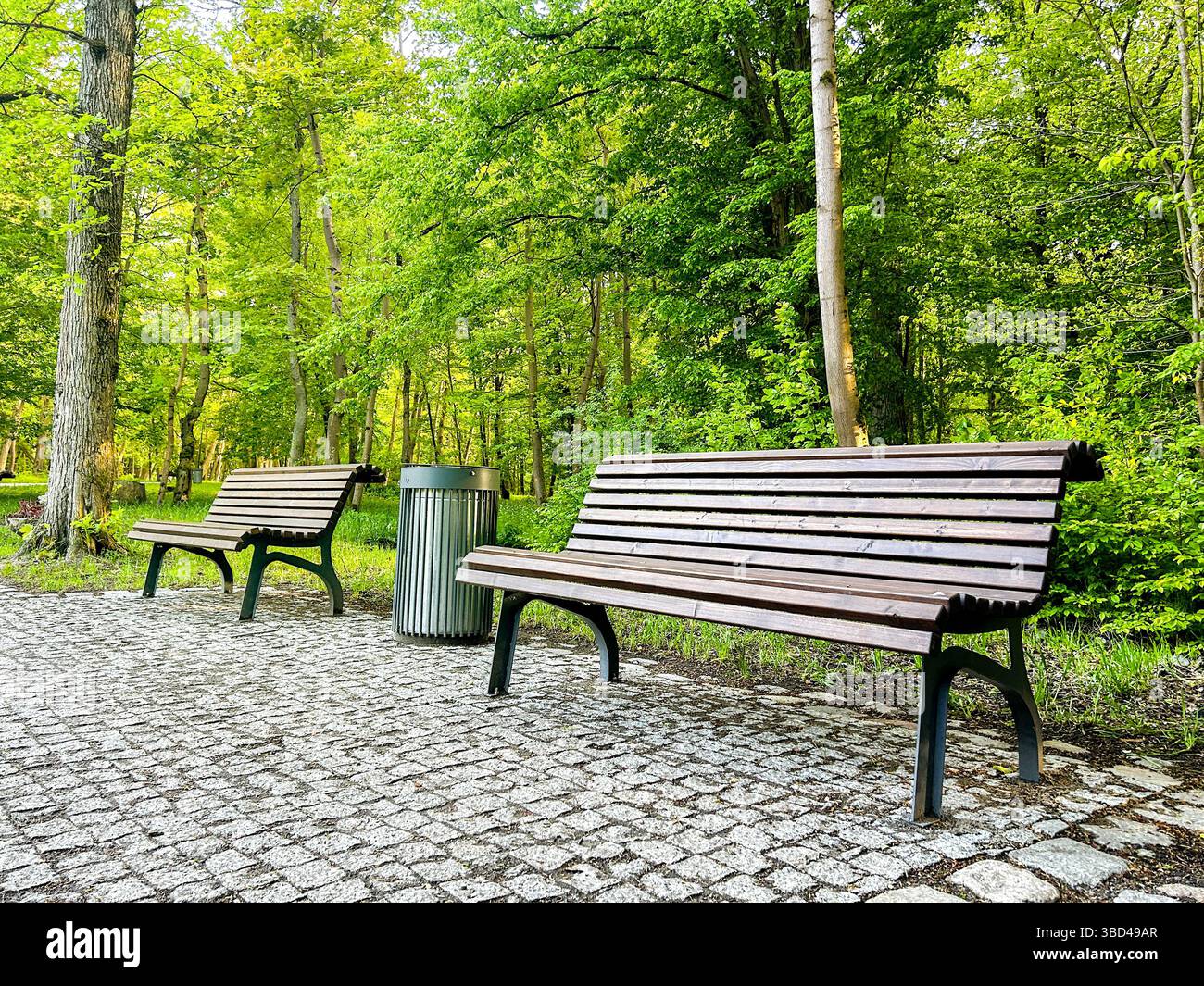 Im Stadtpark befinden sich Holzbänke, umgeben von üppigen Bäumen, die eine friedliche Atmosphäre für Besucher, Touristen und Bürger schaffen. Bereitstellung von urb Stockfoto
