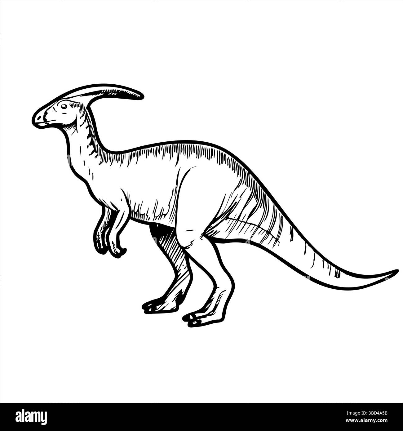 Eine handgezeichnete Illustration eines Dinosauriers, insbesondere eines Hadrosauriers, die seine Besonderheiten wie einen langen Schwanz und einen Entenschnabel zeigt. Stock Vektor