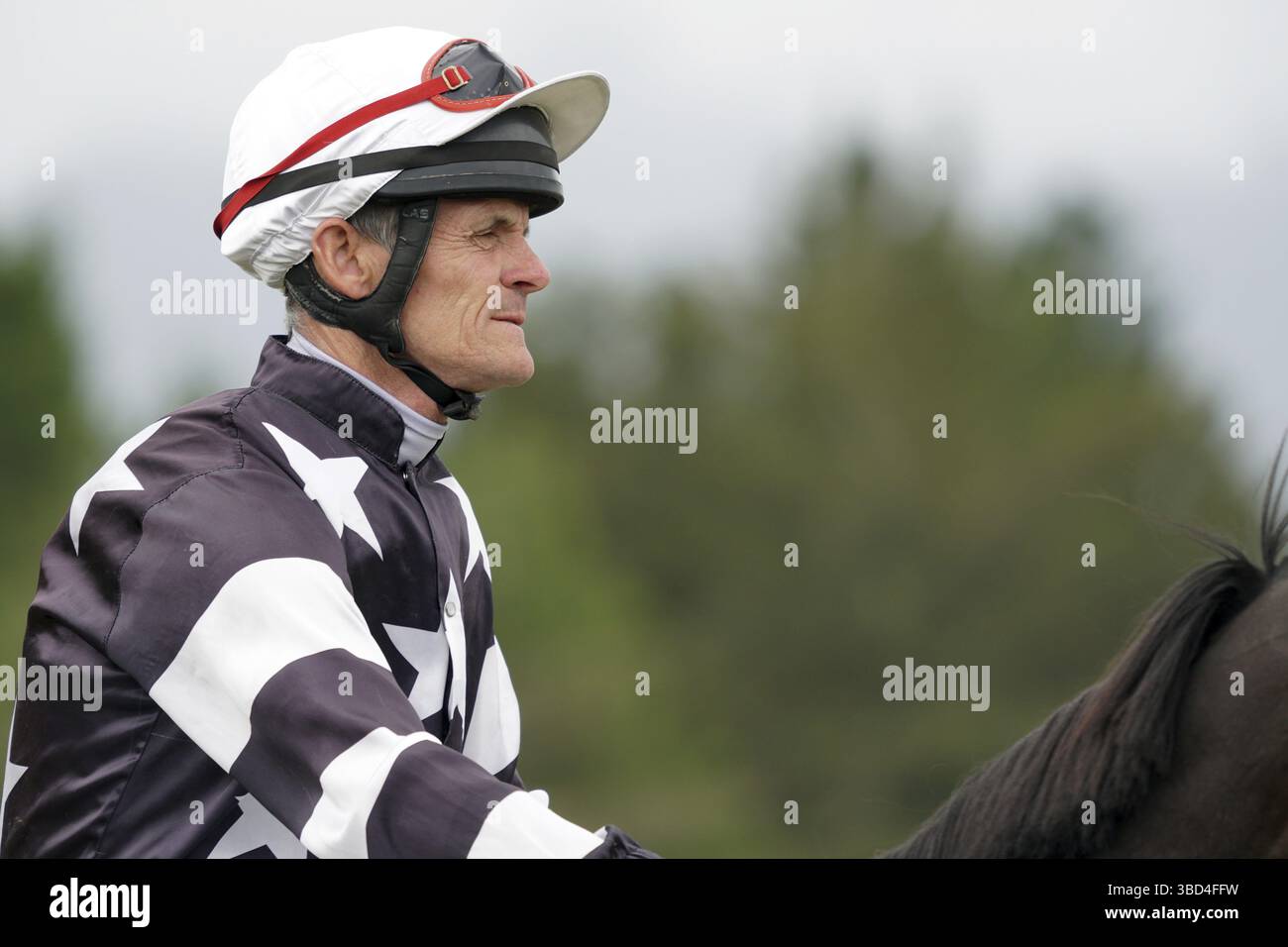 KUMARA, NEUSEELAND, 8. JANUAR 2022: Der ehemalige Jockey Terry Moseley wärmt seinen Berg vor einem Rennen beim Gold Nuggets Competition beim Kumara Race Stockfoto
