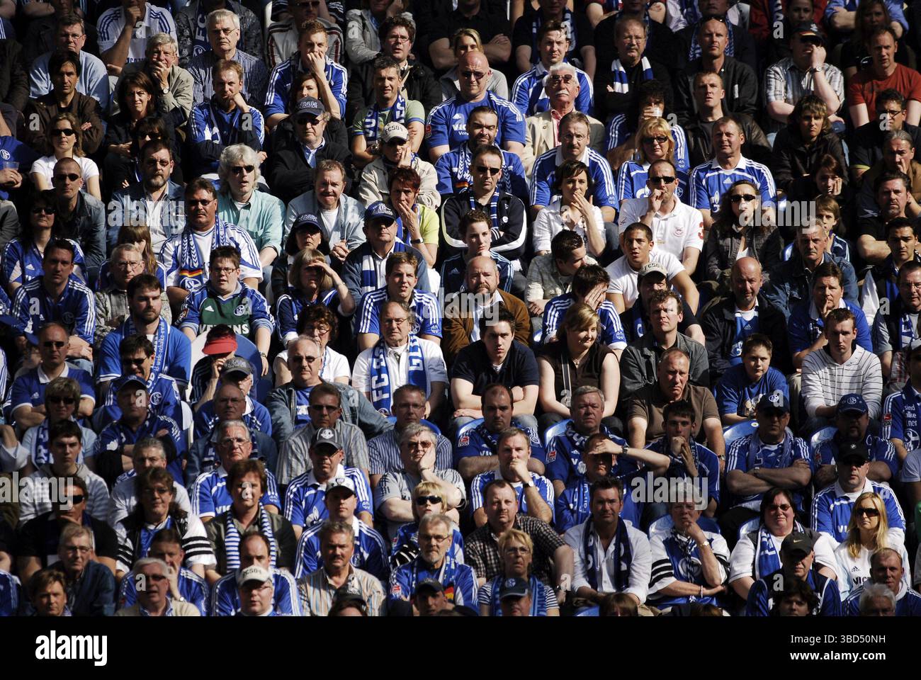 Skeptische Schalker-Fans bei einem deutschen Profi-Fußballspiel zwischen Schalke 04 und Hannover 96 mit einem Ergebnis von 1:1 Stockfoto