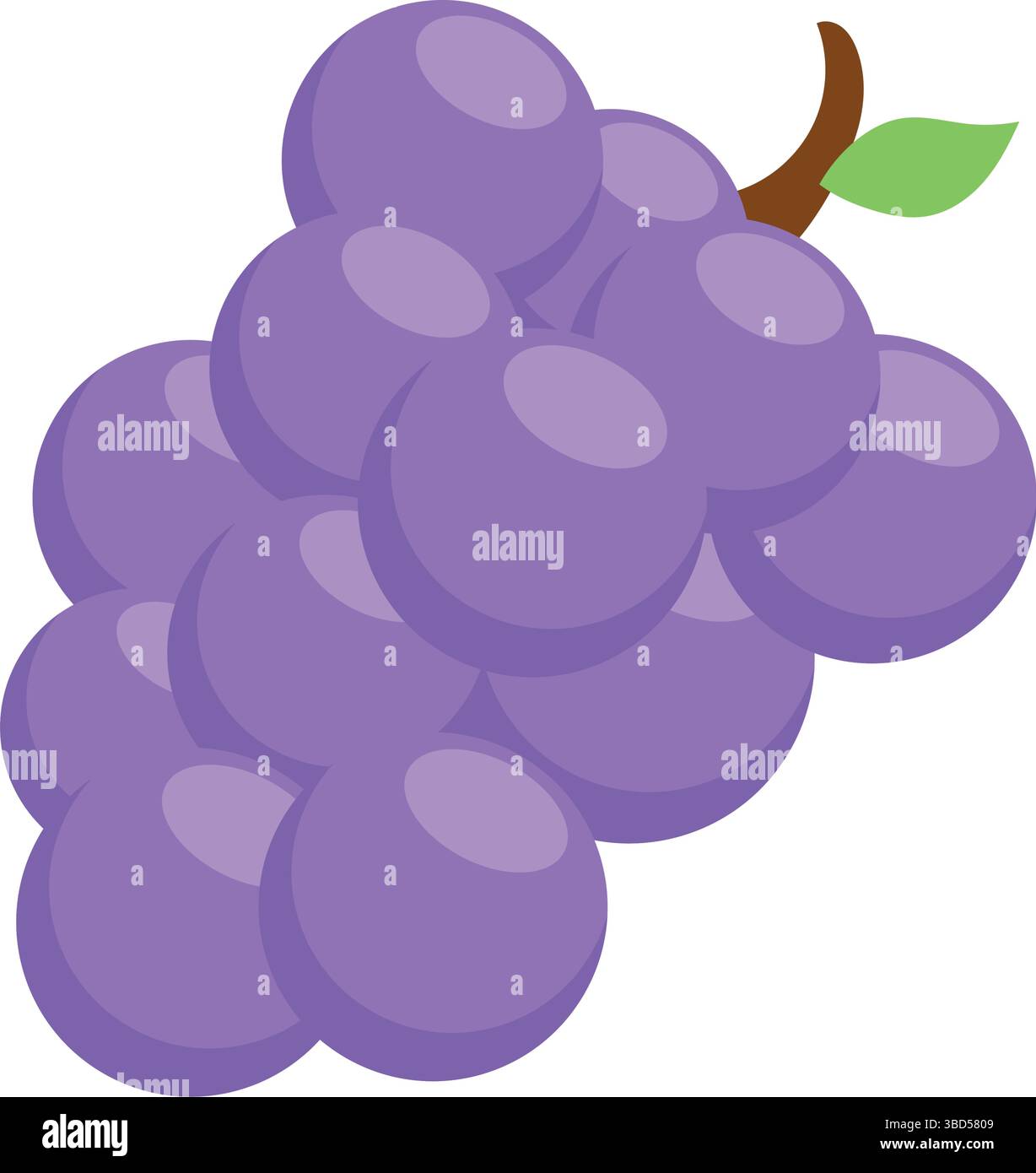 Violette Traubengruppe. Vektor Stock Vektor