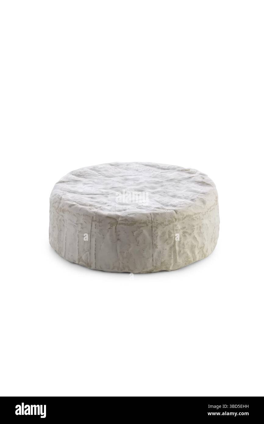 Camembert auf weißem Hintergrund Stockfoto