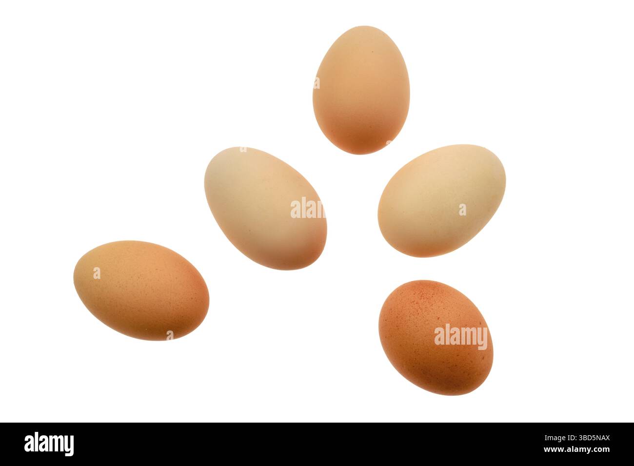 Frische Landeier, isoliert auf weißem Hintergrund Stockfoto
