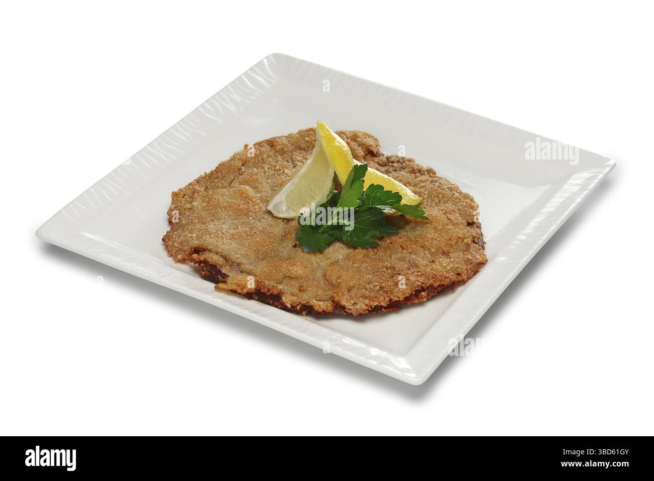 Layout für Menüs. Gehacktes Fleisch in Panade Stockfoto