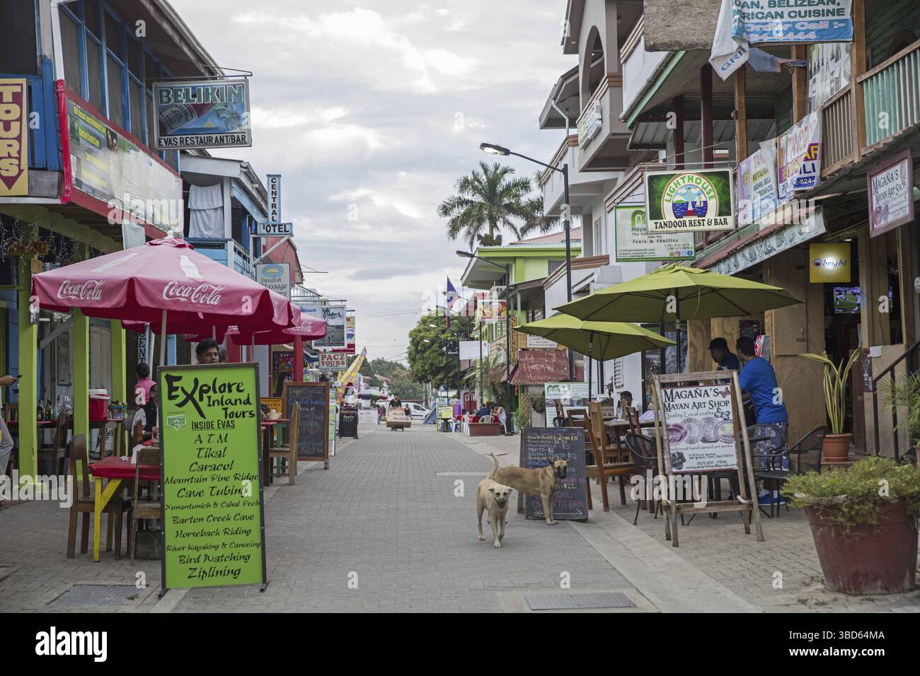 High Street mit Restaurants und Touristik-Unternehmen in der Stadt San Ignacio, Cayo District, Belize, Karibik Stockfoto