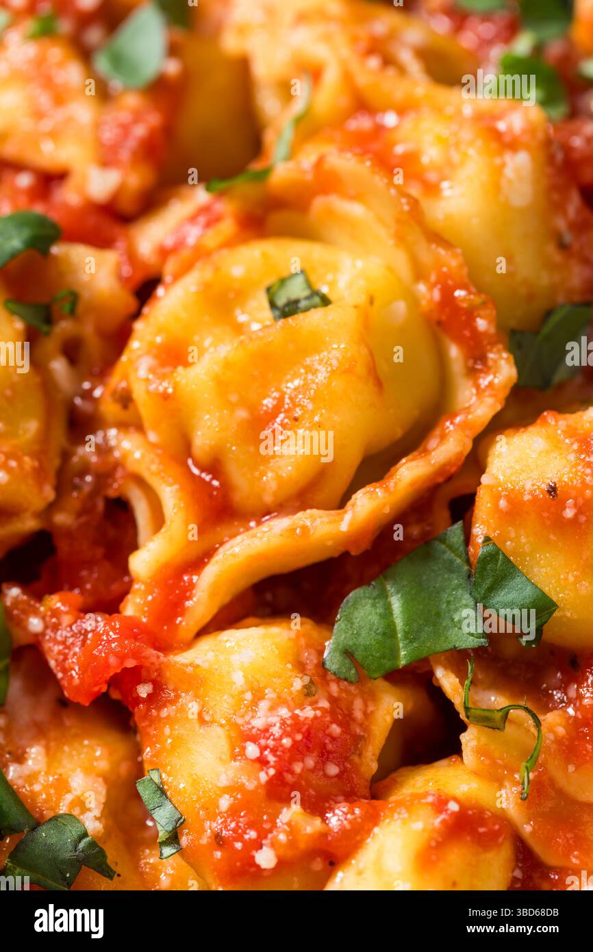 Hausgemachte Tortellini-Pasta mit Tomatensauce und Basilikum Stockfoto