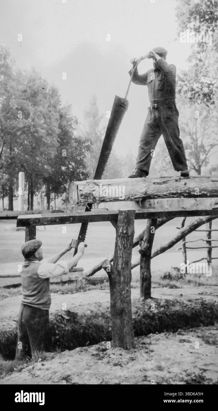 Vintage-Schwarz-weiß-Foto von zwei sägern, die Holz sägen mit einer Pitsäge, einer Peitsche, einer Zweimannsäge über einer Säge, um Bretter und Balken zu produzieren Stockfoto
