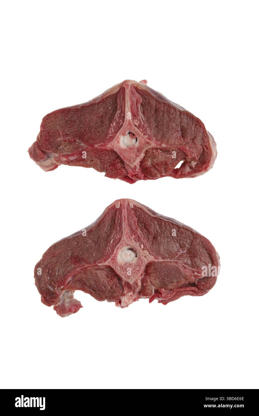 Rohe Hirschrückenschlaufe isoliert auf weißem Hintergrund Stockfoto