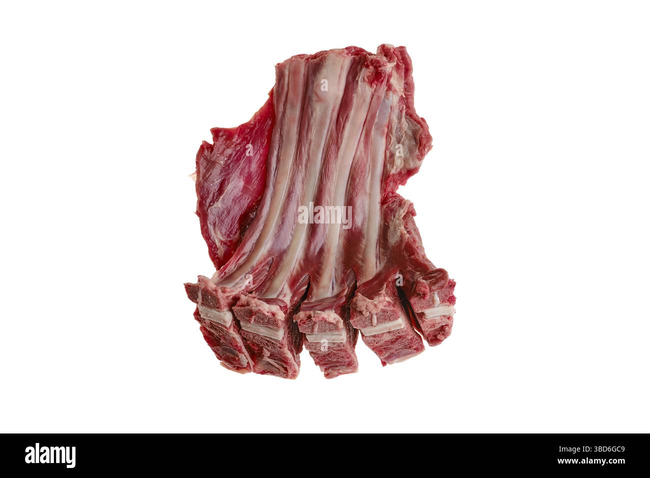 Rohe frische Hirschrippen, isoliert auf weißem Hintergrund Stockfoto