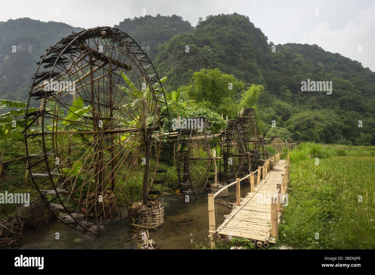 Bambusräder werden als Bewässerungswerkzeug in der traditionellen Landwirtschaft des ländlichen Vietnams in der Gegend von Pu Luong verwendet Stockfoto