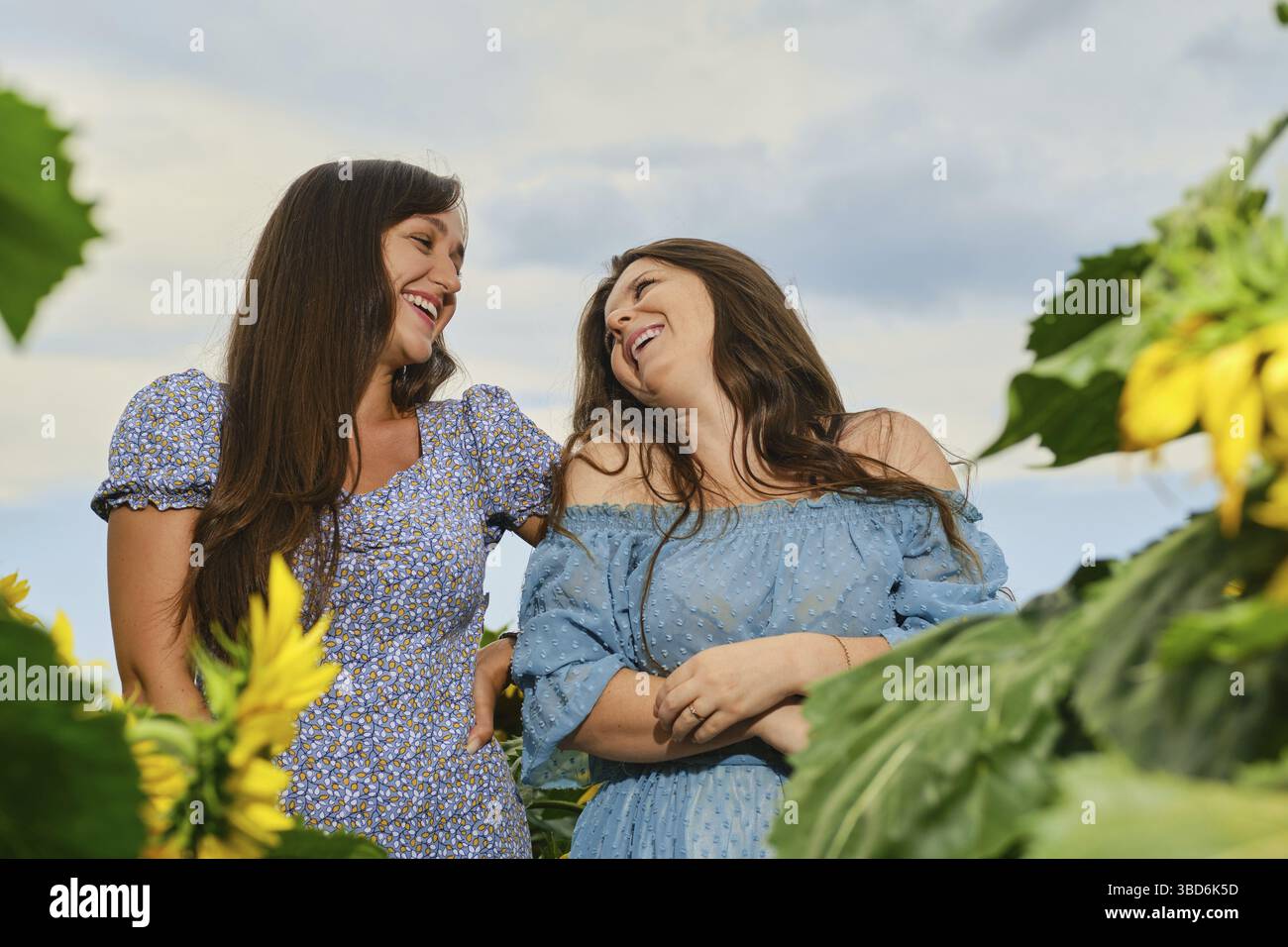 Zwei glückliche Frauen, die auf dem Maisfeld lachen Stockfoto