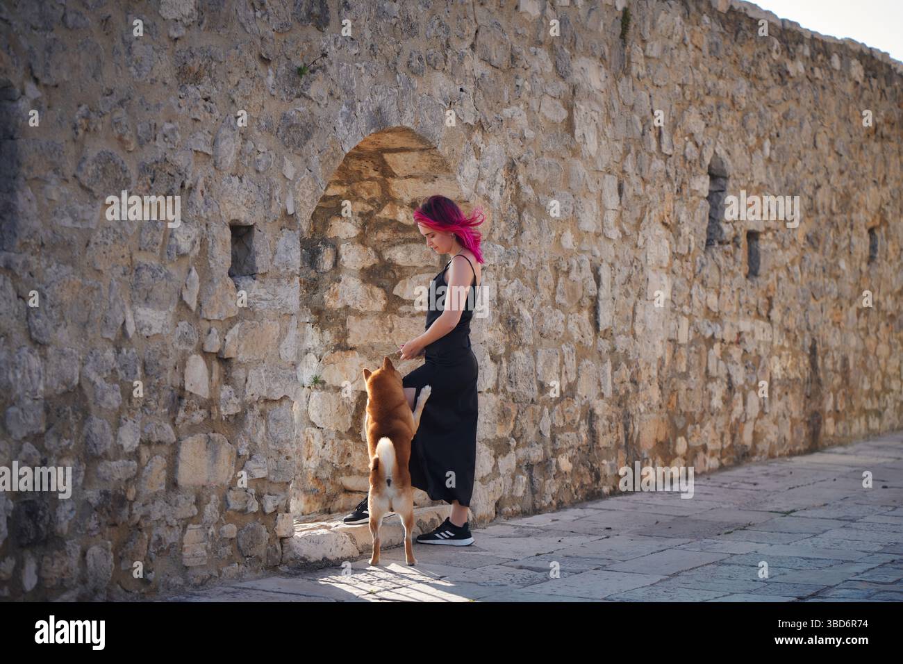 Eine Person mit einem Shiba Inu steht an einer mittelalterlichen Steinmauer mit einer bogenförmigen Öffnung. Das strukturierte Mauerwerk und das historische Ambiente schaffen eine charmante Atmosphäre Stockfoto