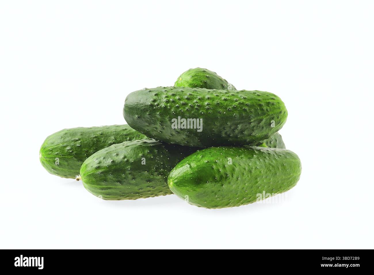 Frische Gurken isoliert auf weißem Hintergrund Stockfoto