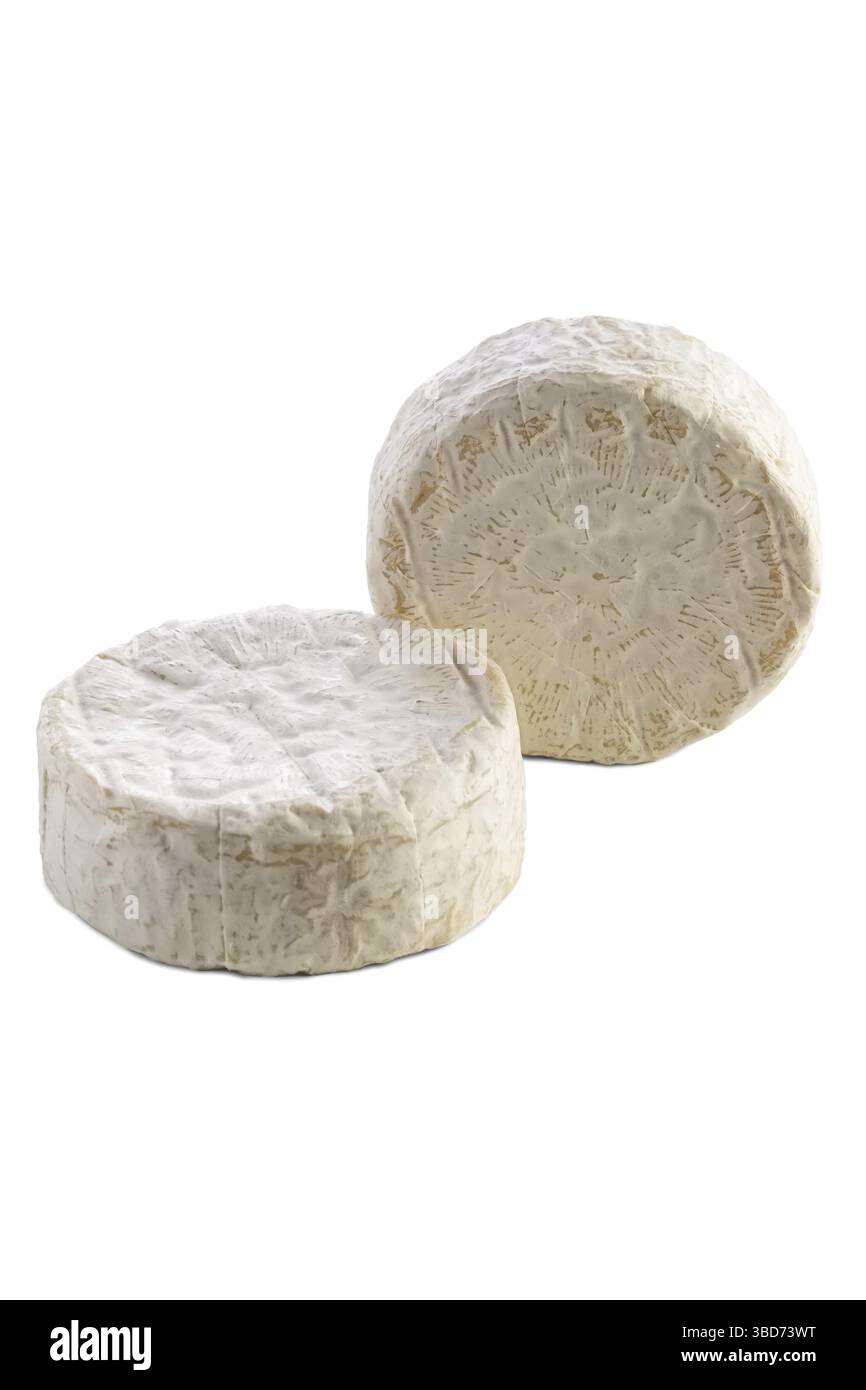 Camembert auf weißem Hintergrund Stockfoto