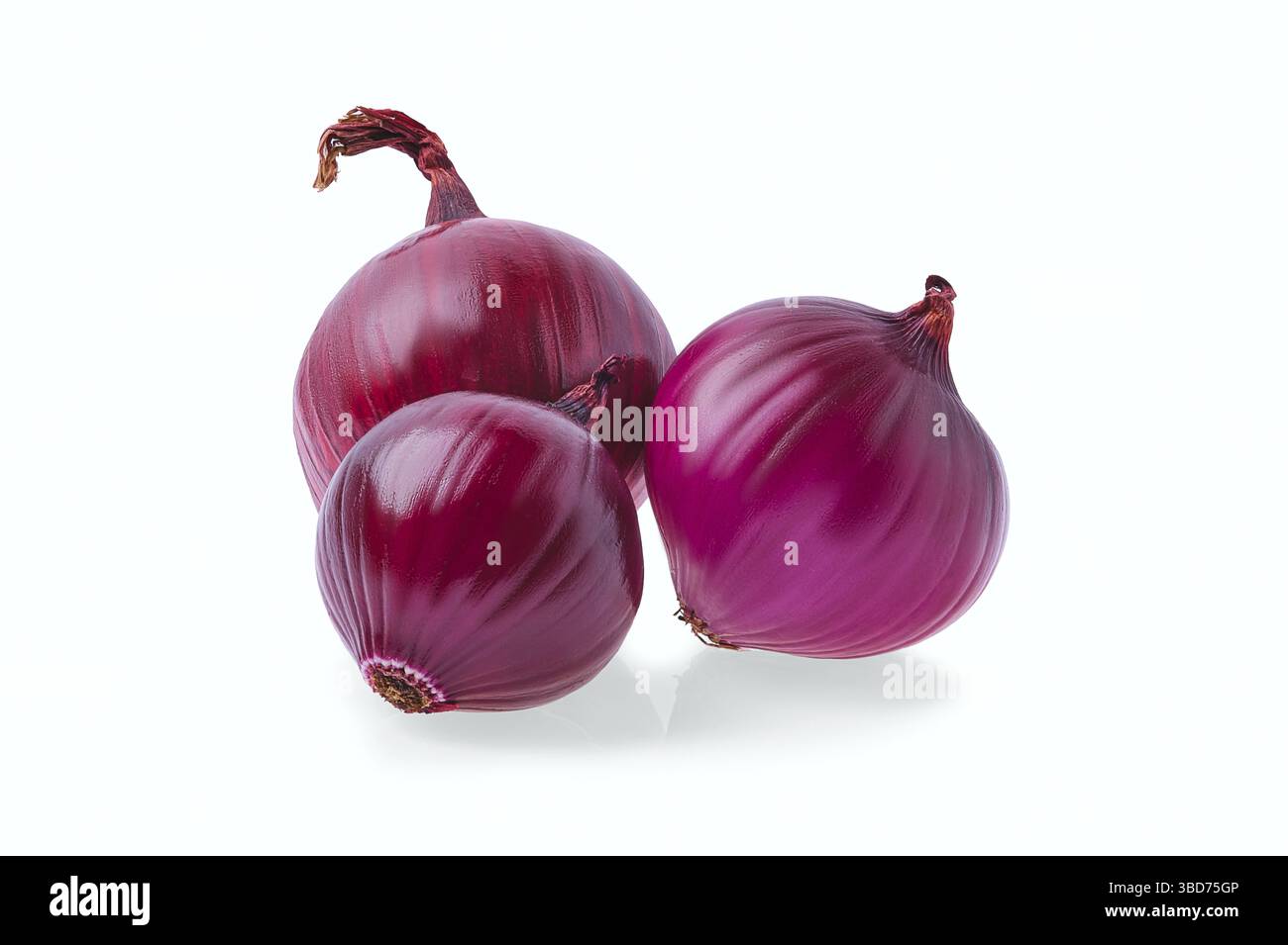 Frische rote Zwiebel isoliert auf weißem Hintergrund Stockfoto