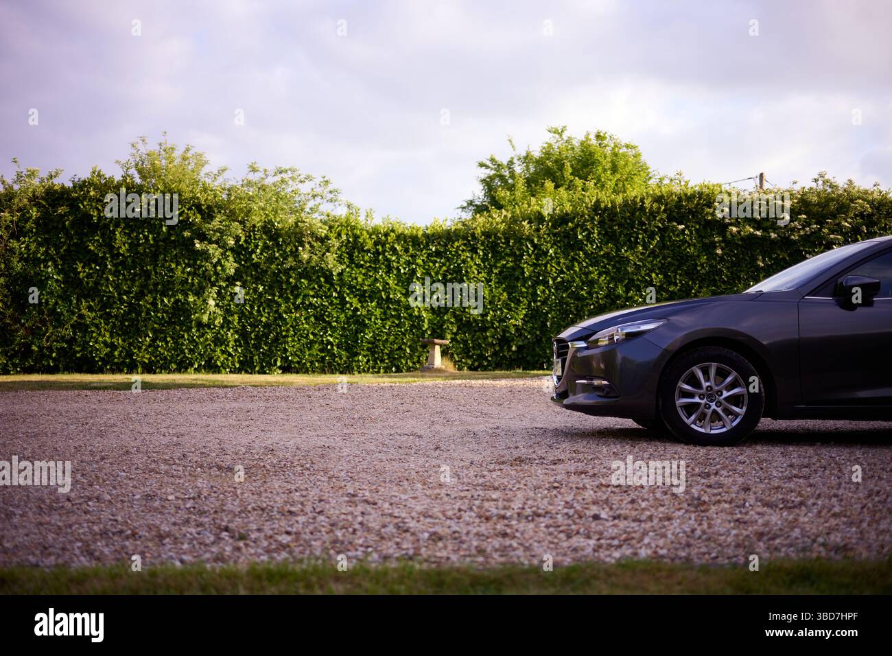 18. Mai 2025 - EnglandUK: Graues Familienauto auf Schotterfahrt mit großer Hecke im Hintergrund am frühen Abend Stockfoto
