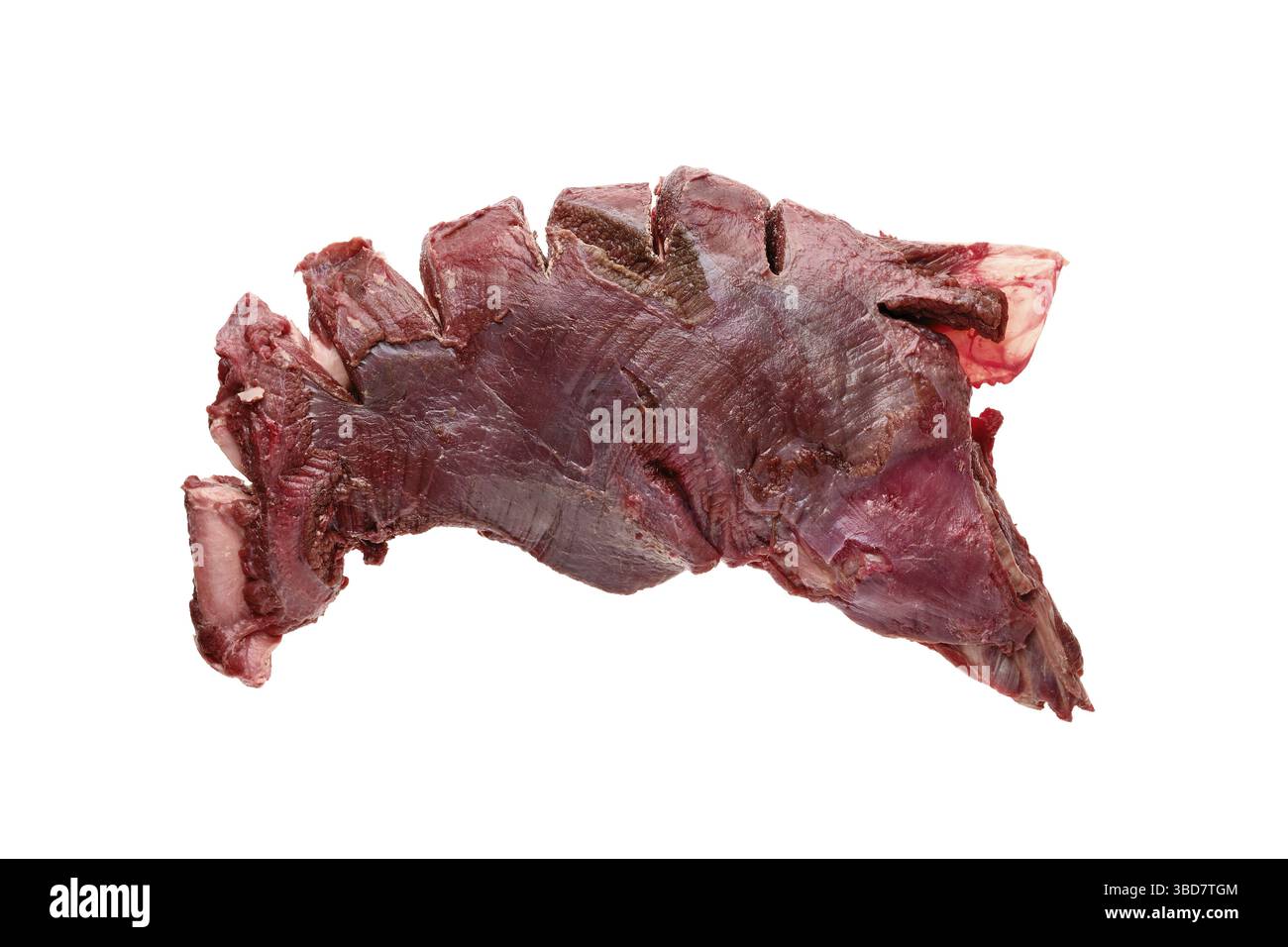 Rohe frische Hirschrippen, isoliert auf weißem Hintergrund Stockfoto