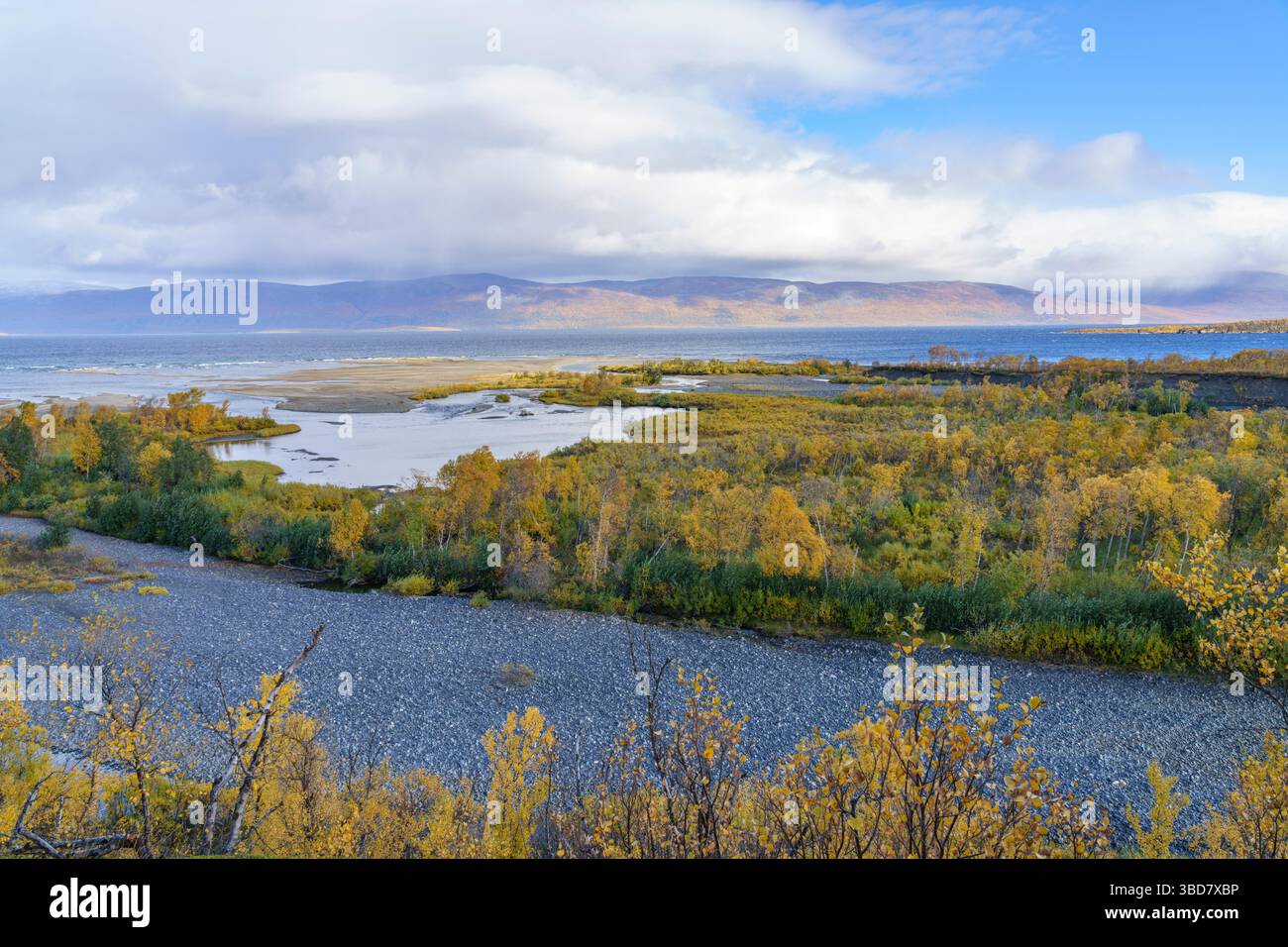 Abisko mit Torneträsksee in der Herbstsaison mit gelben Blättern, Abisko, Schwedisch Lappland, Schweden Stockfoto