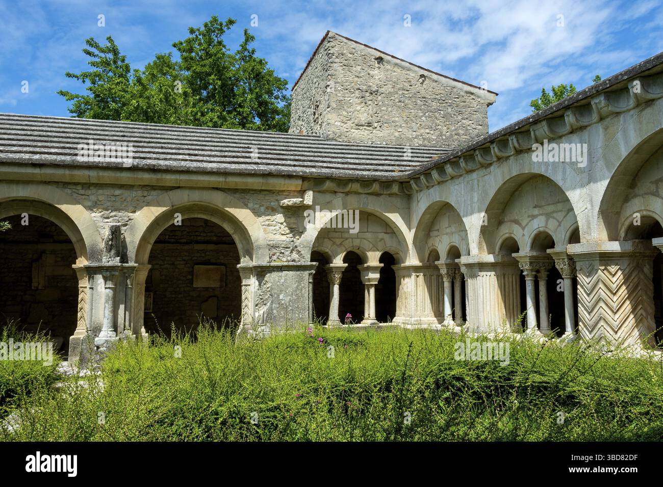 Vaison-la-Romaine. Kreuzgang der Kathedrale Notre-Dame de Nazareth. Vaucluse. Provence-Alpes-Cote d'Azur. Frankreich Stockfoto