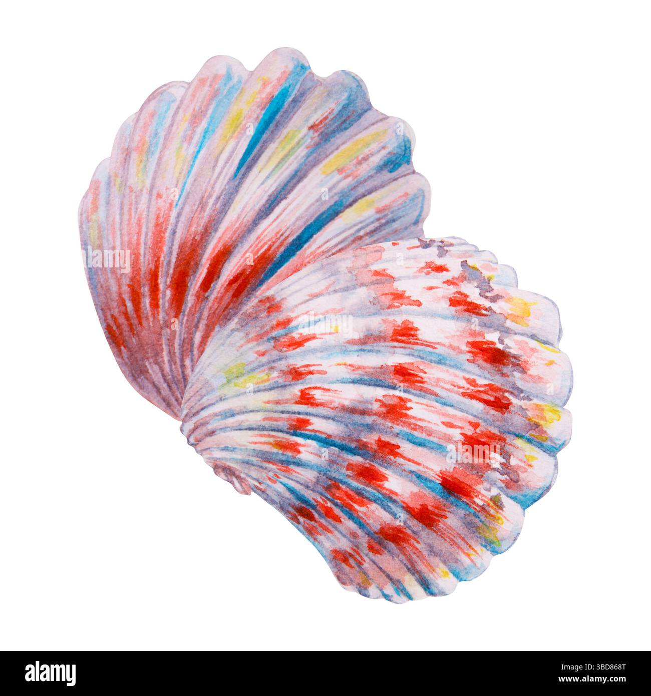 Aquarellillustration einer farbenfrohen Muschel mit roten, blauen und gelben Akzenten, handgemalt in einem naturalistischen Stil, ideal für Sommermotive Stockfoto