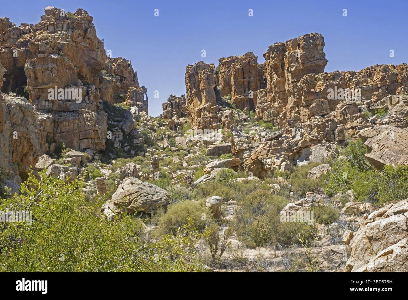 Sandsteinfelsen bei Truitjieskraal im Matjiesrivier Nature Reserve, Cederberg Wilderness, Western Cape, Südafrika Stockfoto