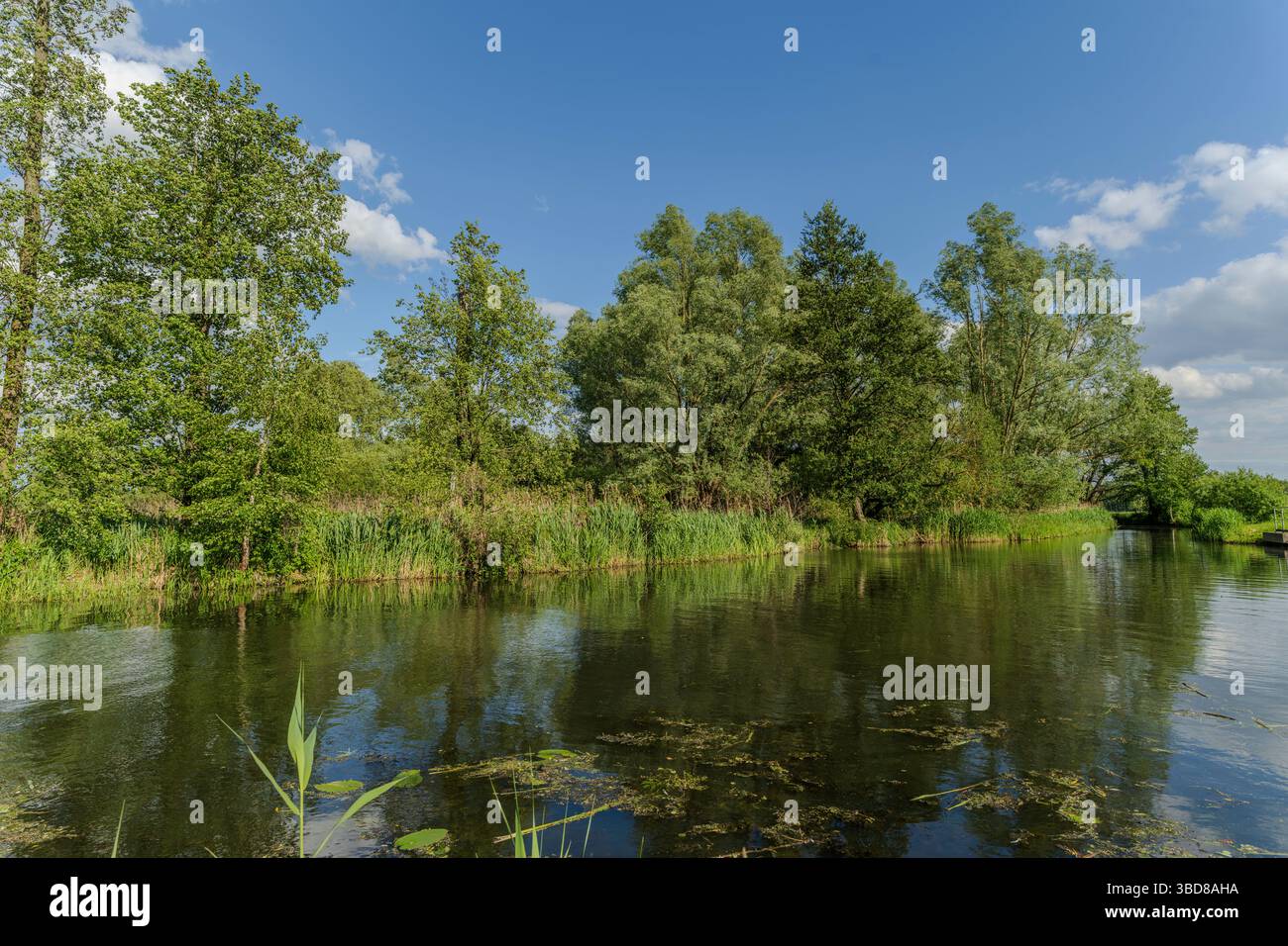 Der Spreewald in Deutschland ist ein beliebtes Urlaubsziel für Touristen Stockfoto