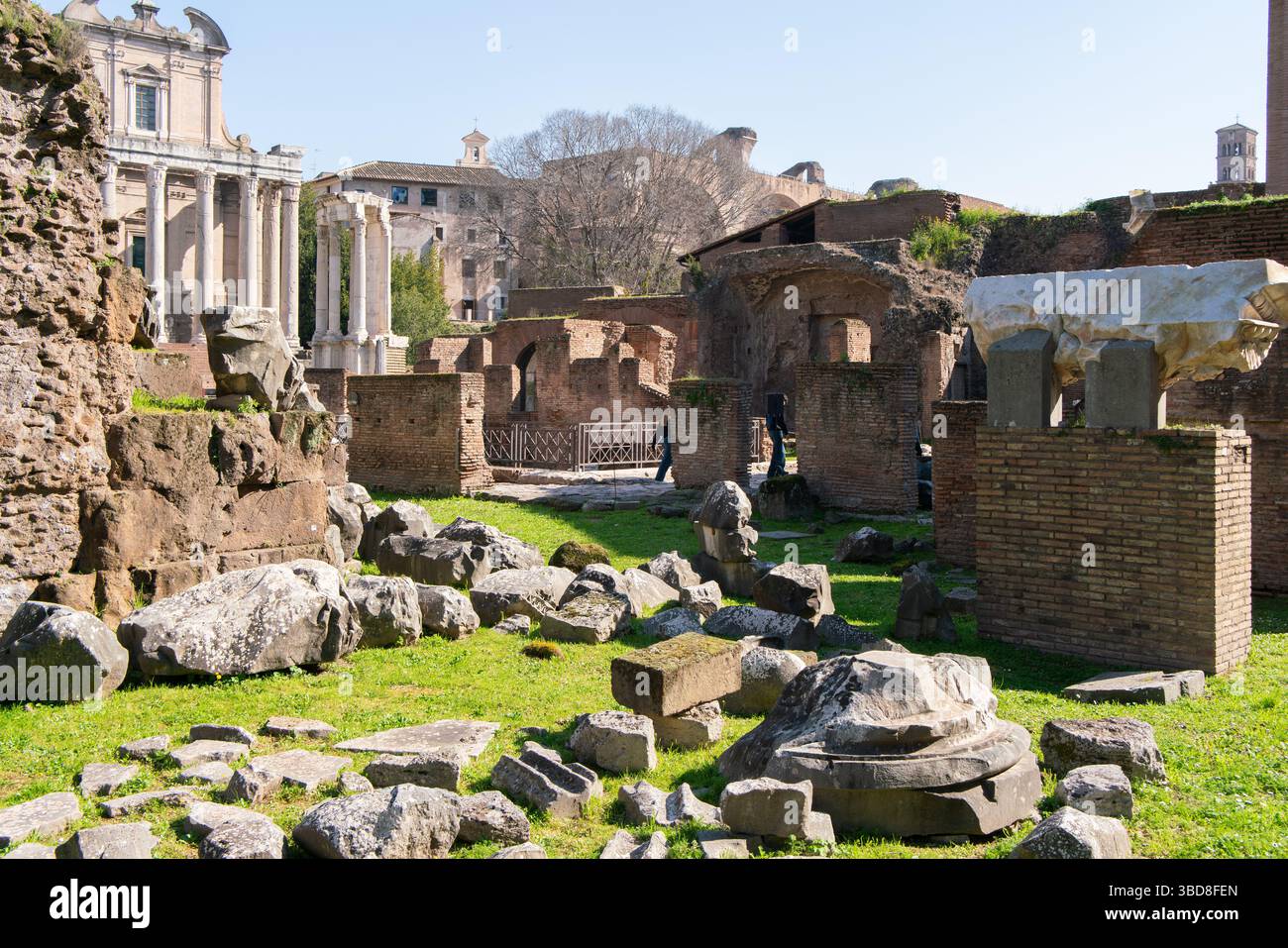 Im Forum Romanum von Rom, Italien Stockfoto