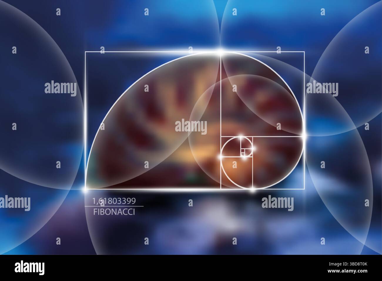 Fibonacci-Zahlenfolge. Goldenes Verhältnis. Geometrische Formen spiralförmig. Schneckenspirale. Nautilus Seashell. Vorlage für heilige Geometrie. Logarithmische Sequenzen Stock Vektor