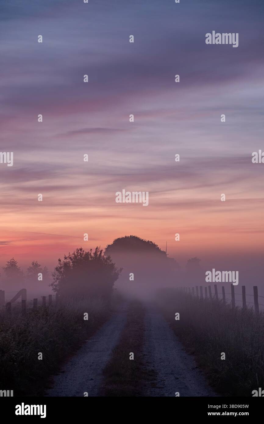 Eine ruhige und ruhige Szene, die von einem nebeligen Pfad in der Morgenröte aufgenommen wurde und die friedliche Schönheit des morgens verkörpert Stockfoto