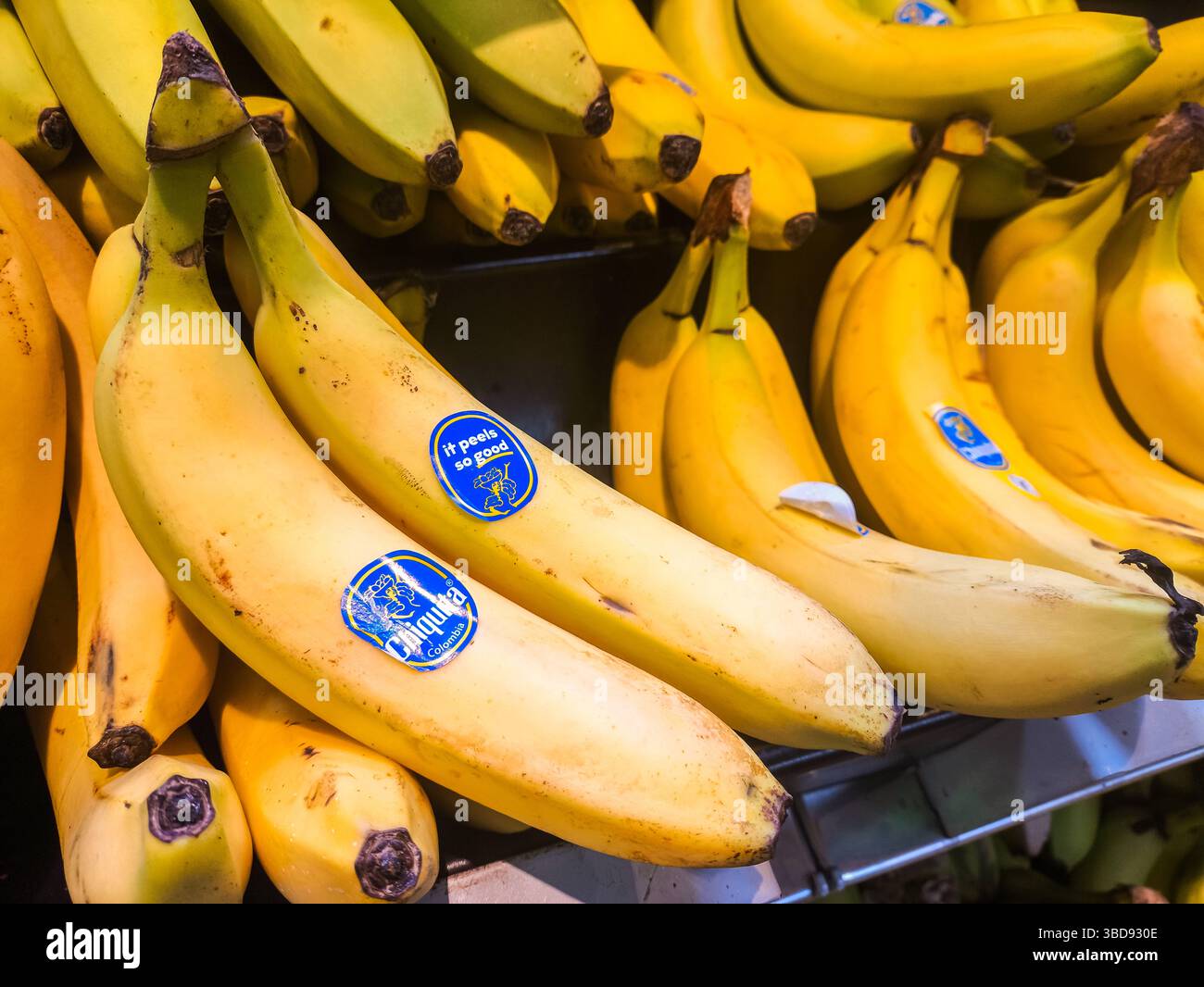 Bayern, Deutschland - 23. Mai 2025: Chiquita Bananen mit blauen Aufklebern auf einem Supermarktregal *** Chiquita-Bananen mit blauen Aufklebern in einem Supermarktregal Stockfoto