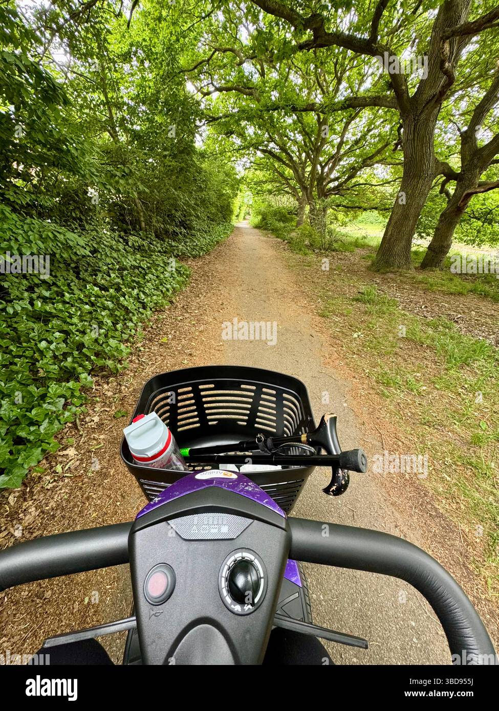 Kesgrave, Suffolk - 23. Mai 2025 : Blick auf einen Waldweg neben Longstrops. - Smartphone-aufgenommenes Stockfoto