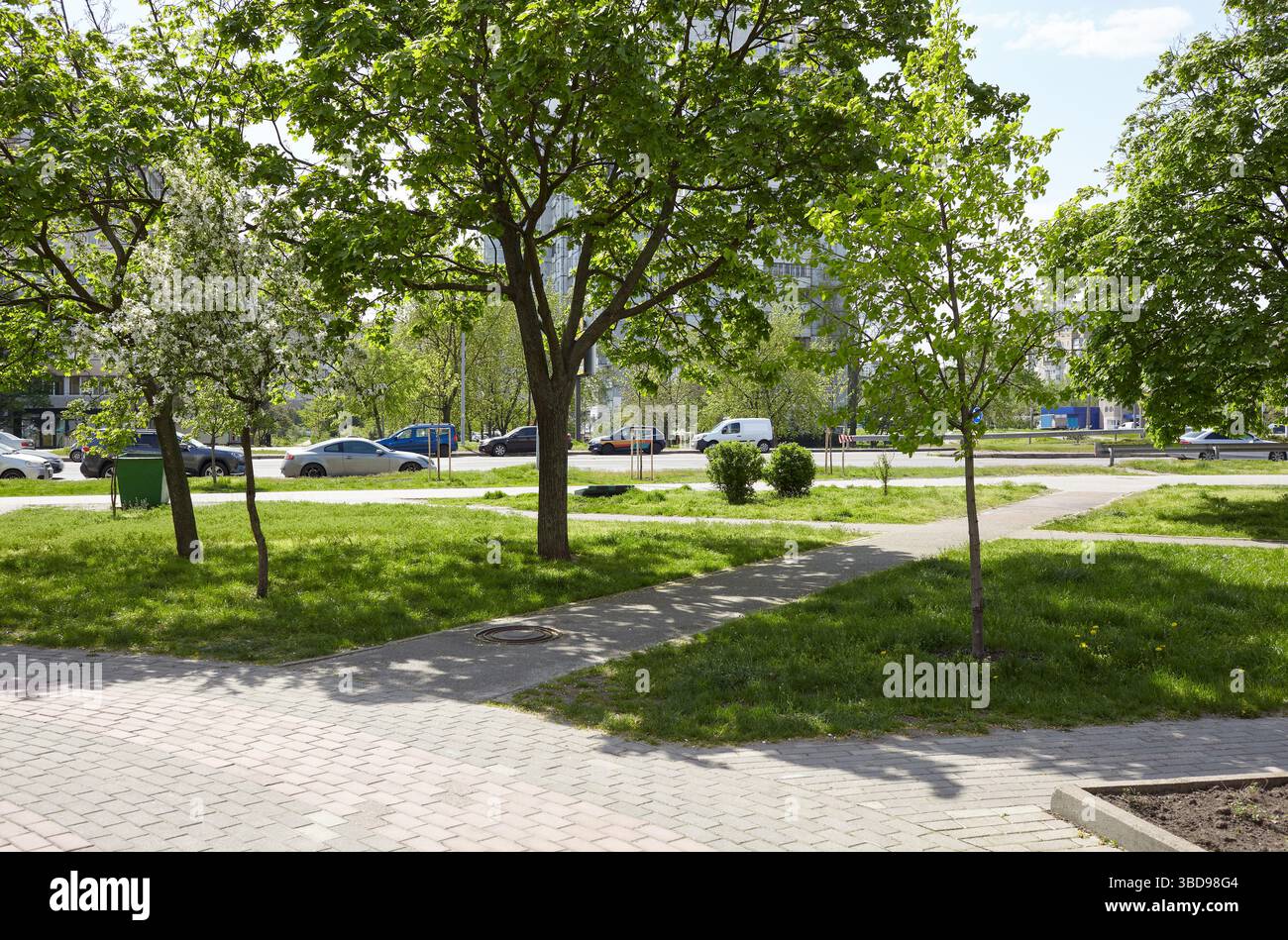 Fußweg umgeben von Bäumen und Rasenflächen in Kiew, Europa. Erholungsort in der Stadtstraße Stockfoto