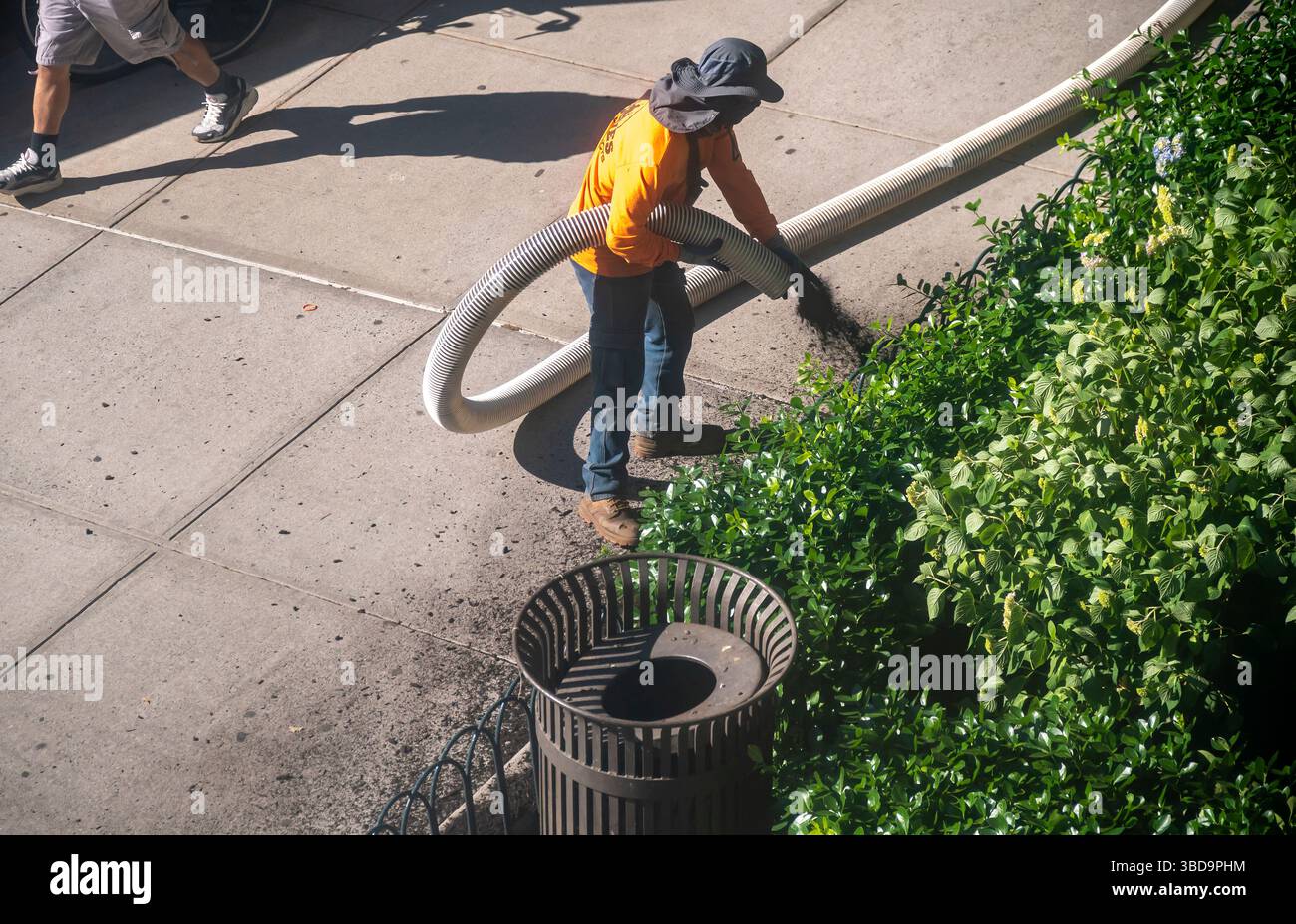Arbeiter pumpen Mulch in die Pflanzungen am Eingang eines Wohnhauses in Chelsea in New York am Montag, den 19. Mai 2025. (© Richard B. Levine) Stockfoto