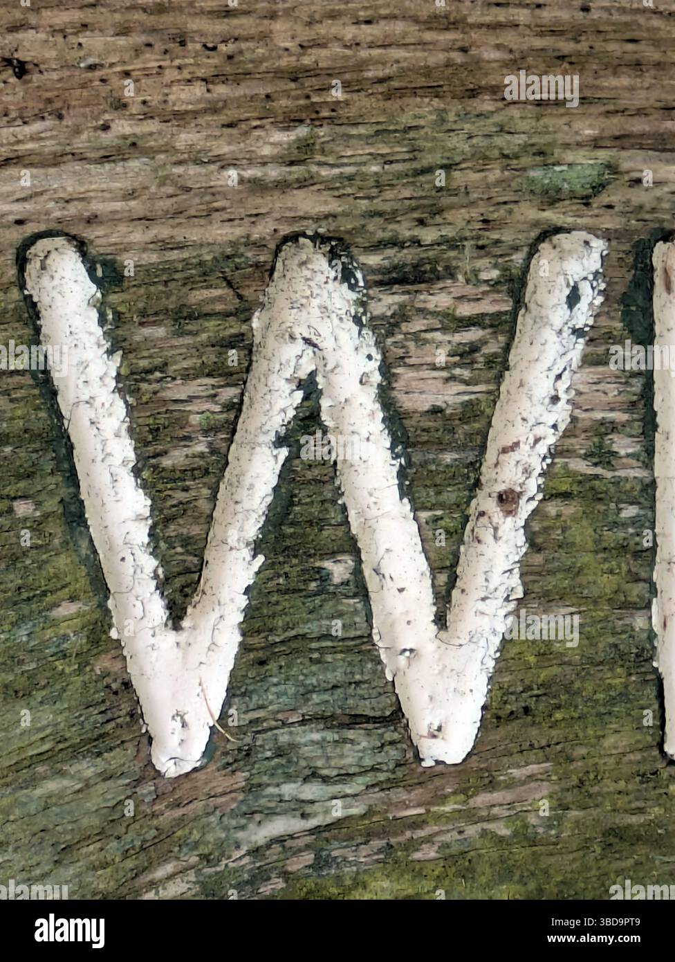 Schriftliche Formulierungen in der Typografie des Distress State fanden Lösegeld Schriftart Buchstabe W Stockfoto