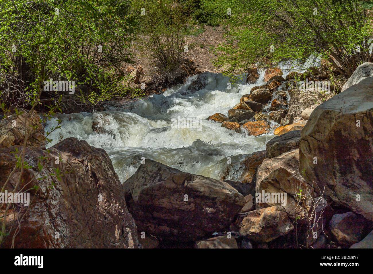 Felsiger Bergbach, Big Cottonwood, Utah, USA Stockfoto