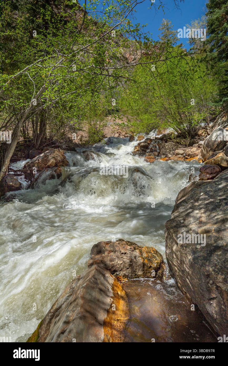 Felsiger Bergbach, Big Cottonwood, Utah, USA Stockfoto