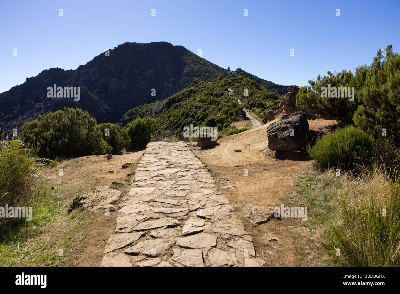 Wanderweg in den Bergen von Pico Ruivo im Sommer. Insel Madeira, Portugal Stockfoto