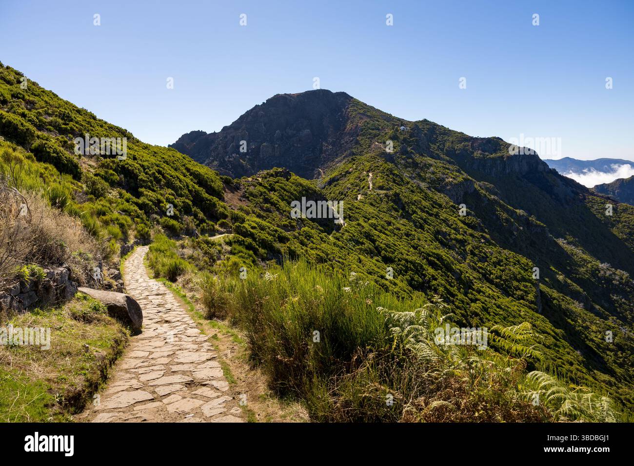 Wanderweg in Pico Ruivo am Sommertag. Insel Madeira, Portugal Stockfoto