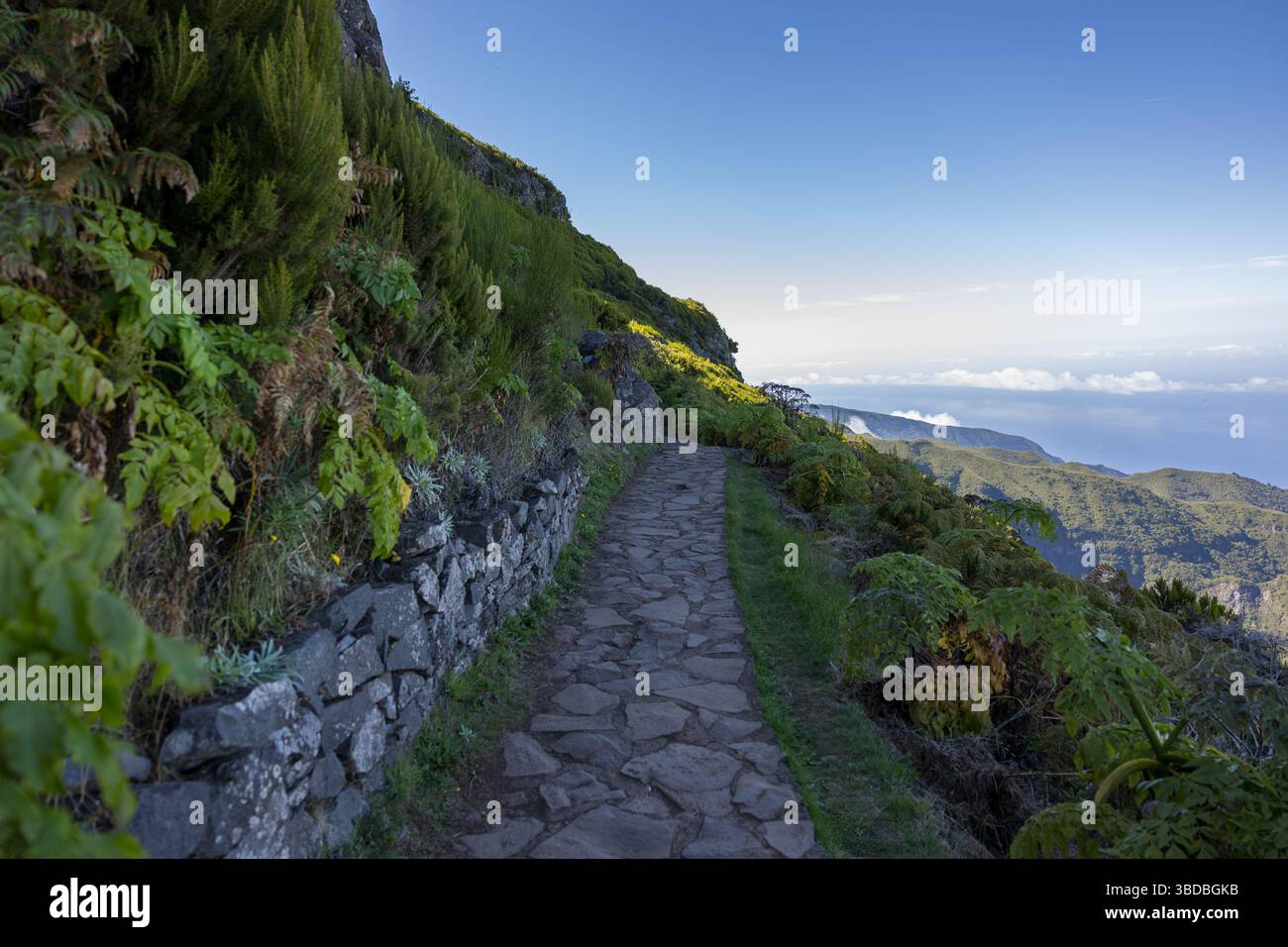 Wanderweg mit Touristen in den Bergen von Pico Ruivo. Insel Madeira, Portugal. Stockfoto