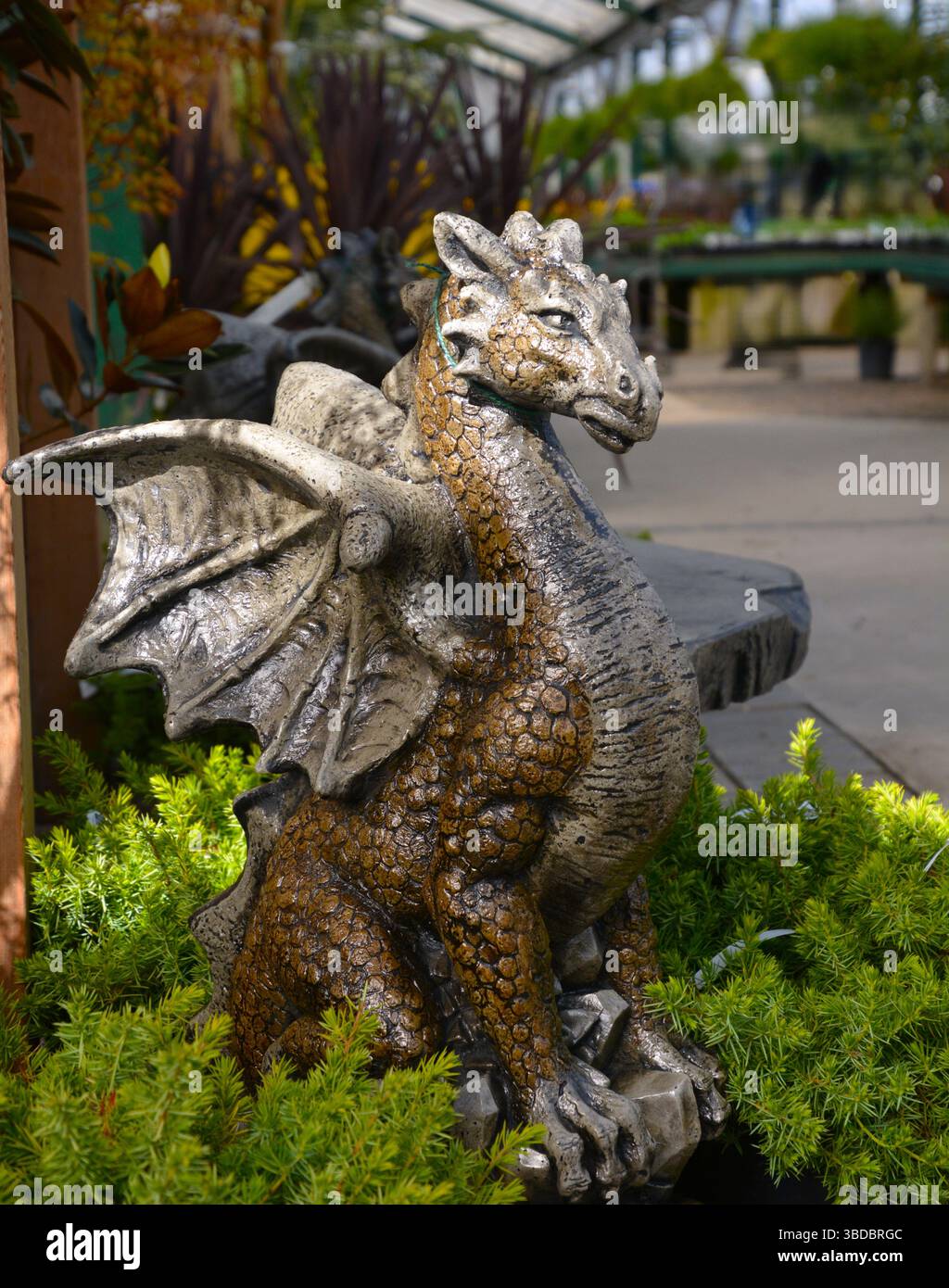 Drache, Hofkunst. Stockfoto