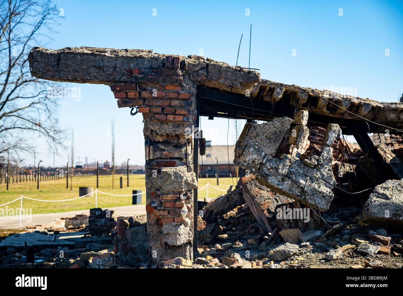 Ruinen der Gaskammer im Konzentrationslager Auschwitz-Birkenau, Polen Stockfoto