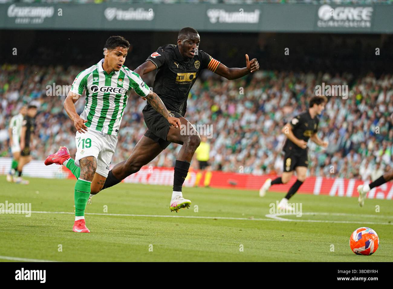 Cucho Hernandez (Real Betis) während des LaLiga-Spiels zwischen Real Betis und Valencia CF, am 23. Mai 2025 bei Benito Villamarin in Sevilla Stockfoto