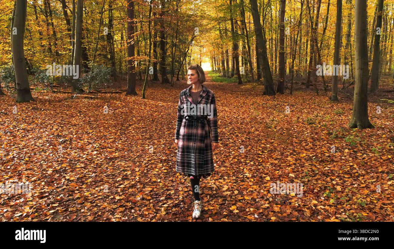 Porträt einer attraktiven jungen Frau, die auf der Waldgasse steht, wo der Boden aus Blättern in Herbstfarben besteht. Schöne Frau in der Natur. Stockfoto