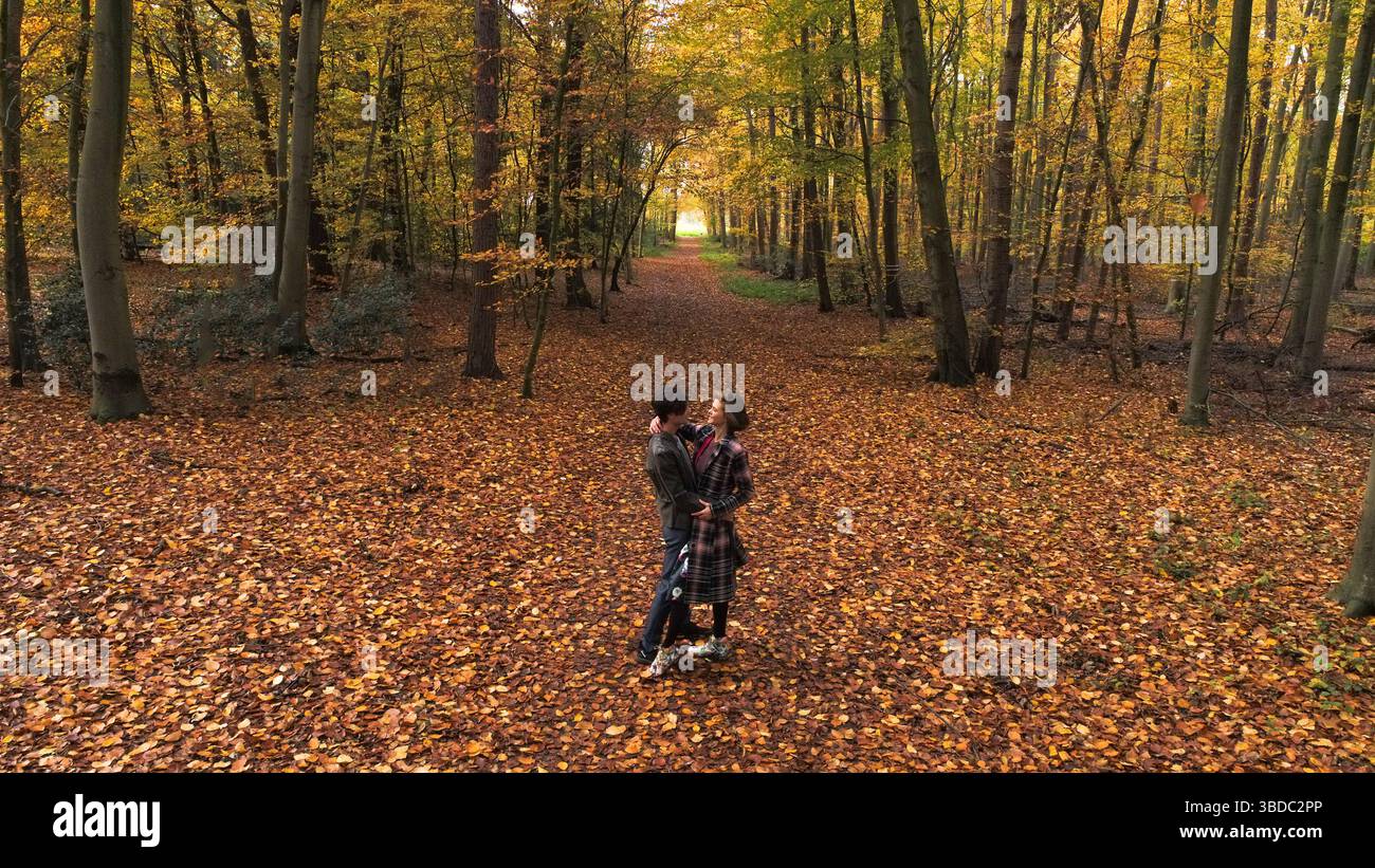 Ein junges Paar, das eine romantische Zeit hat und sich im Wald ansieht. Der Blick auf die schöne Frau und den hübschen Mann hat einen schönen Blick auf den malerischen Herbst Stockfoto
