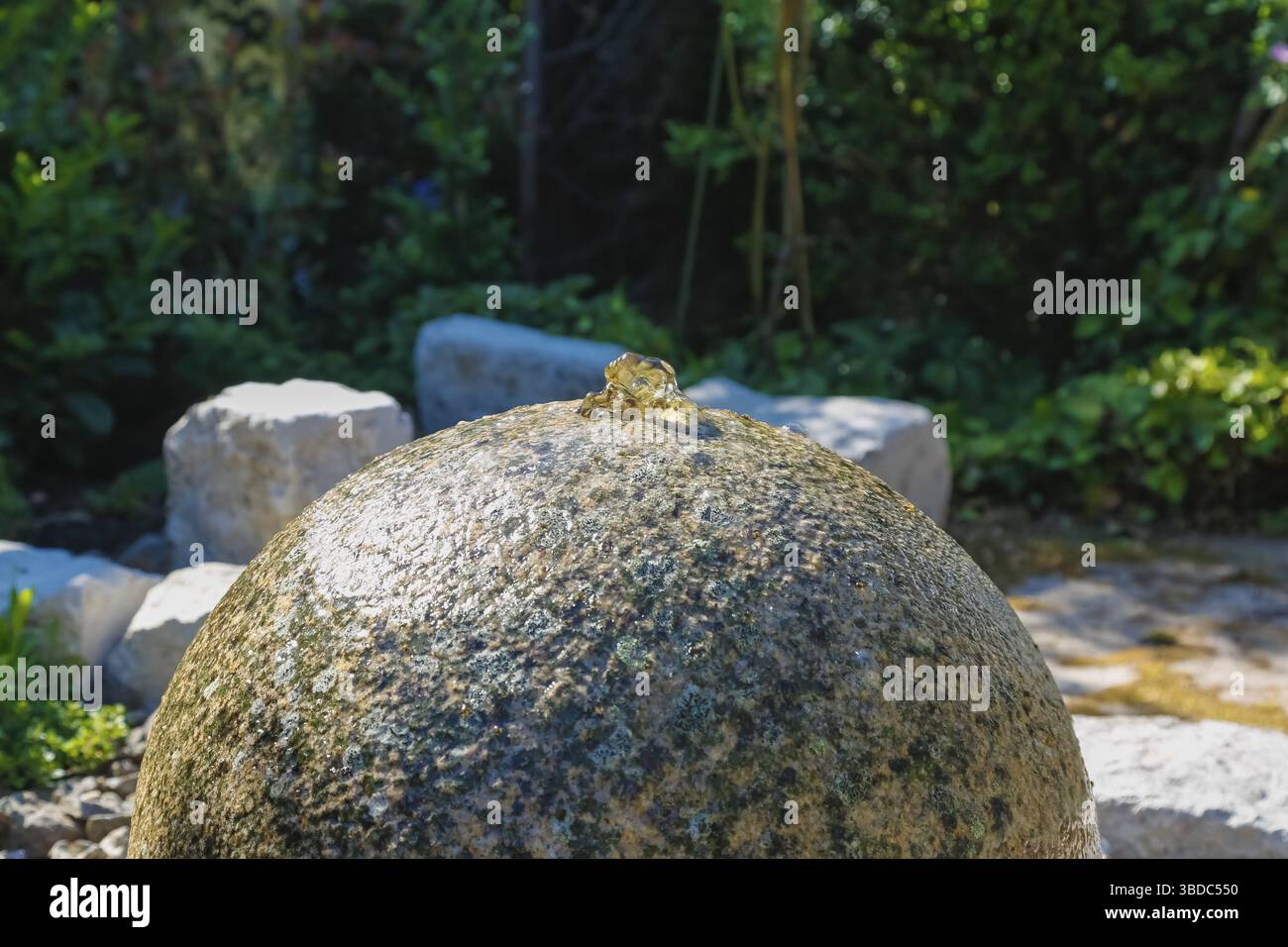 Steinkugel im Garten, Wasserspiele, Quellstein, Granitkugelbrunnen, Natursteingarten Brunnen, Deutschland Stockfoto